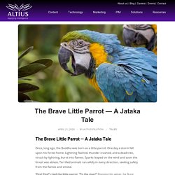 The Brave Little Parrot — A Jataka Tale