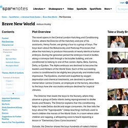 Brave New World: Plot Overview