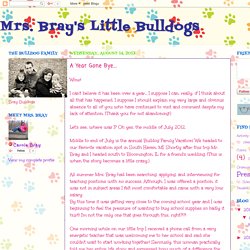 Mrs. Bray's Little Bulldogs: A Year Gone Bye...