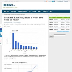 Brazil's Economic Sector