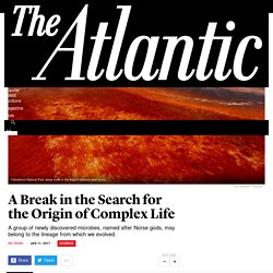 A Break in the Search for the Origin of Complex Life - The Atlantic