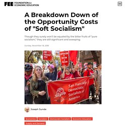 A Breakdown Down of the Opportunity Costs of "Soft Socialism"
