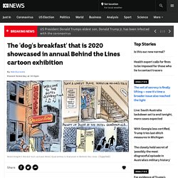 The 'dog's breakfast' that is 2020 showcased in annual Behind the Lines cartoon exhibition - ABC News
