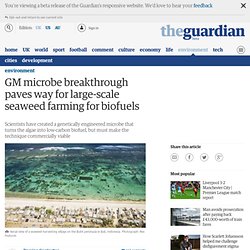 GM microbe breakthrough paves way for large-scale seaweed farming for biofuels