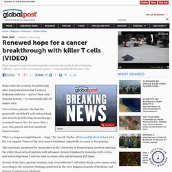 Renewed hope for a cancer breakthrough with killer T cells - GlobalPost