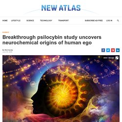 Breakthrough psilocybin study uncovers neurochemical origins of human ego