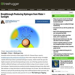 Breakthrough Producing Hydrogen from Water + Sunlight : TreeHugg