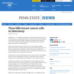 Virus kills breast cancer cells in laboratory