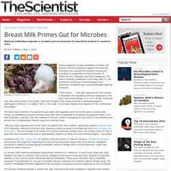 Breast Milk Primes Gut for Microbes