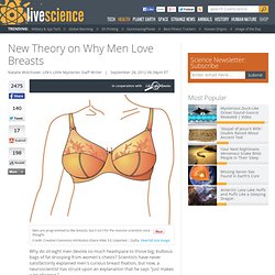 New Theory on Why Men Love Breasts