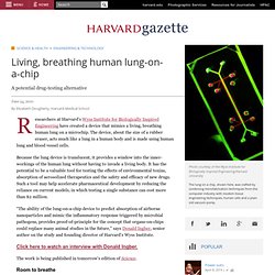 Living, breathing human lung-on-a-chip