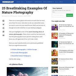 25 Breathtaking Examples of Nature Photography