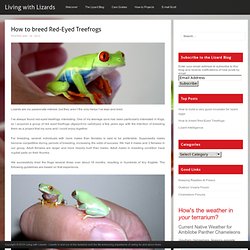 How to breed Red-Eyed Treefrogs : Living with Lizards