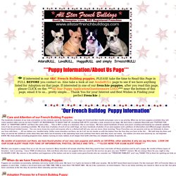 French Bulldog Puppies - French Bulldog Breeders - Champion AKC French Bulldogs