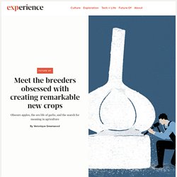 Meet the breeders obsessed with creating remarkable new crops – Experience Magazine