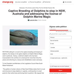 The Hon Mlc Mr Mark Pearson and The Animal Justice Party: Captive Breeding of Dolphins to stop in NSW, Australia and addressing the license of Dolphin Marine Magic