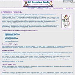 Breeding Guide: Determining Pregnancy