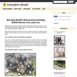Breeding Rabbits & Rabbit Breeds, Pens & Care