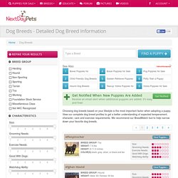 Dog Breeds - Browse nearly 350 different breeds - Next Day Pets