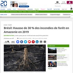 Brésil: Hausse de 30 % des incendies de forêt en Amazonie en 2019