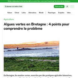 Algues vertes en Bretagne : 4 points pour comprendre le problème