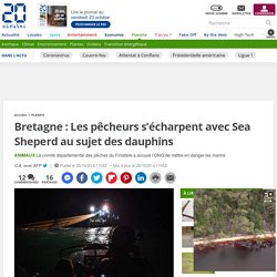 Bretagne : Les pêcheurs s’écharpent avec Sea Sheperd au sujet des dauphins