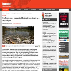 En Bretagne, un pesticide éradique toute vie aquatique - Pollution