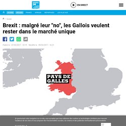 Brexit : malgré leur "no", les Gallois veulent rester dans le marché unique