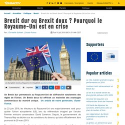 Brexit dur ou Brexit doux ? Pourquoi le Royaume-Uni est en crise