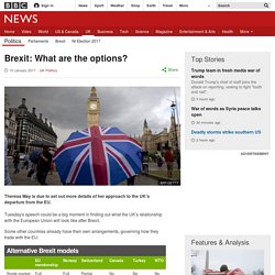 Brexit: What are the options?