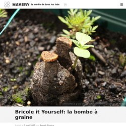 Bricole it Yourself: la bombe à graine