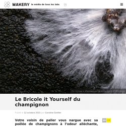 Le Bricole it Yourself du champignon : Makery