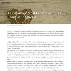 A Brief About Most Expensive Coffee Beans in The World - Tella Balls Cafe