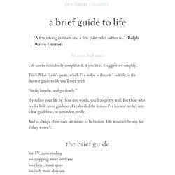 » a brief guide to life