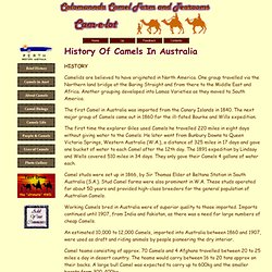 A Brief History of Camels in Australia