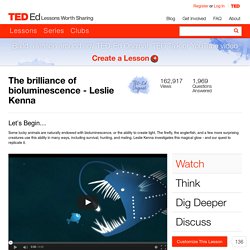 The brilliance of bioluminescence - Leslie Kenna