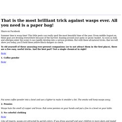 That is the most brilliant trick against wasps ever. All you need is a paper bag!