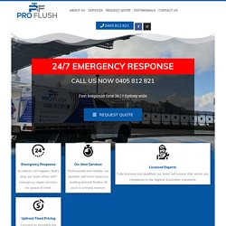 Emergency Plumbing Bringelly - ProFlush