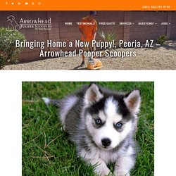 Bringing Home a New Puppy!, Peoria, AZ - Arrowhead Pooper Scoopers -