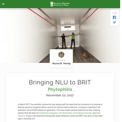 Bringing NLU to BRIT