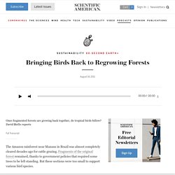 Bringing Birds Back to Regrowing Forests: Scientific American Podcast