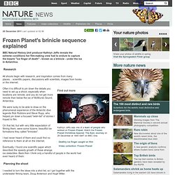 BBC Nature - Frozen Planet's brinicle sequence explained