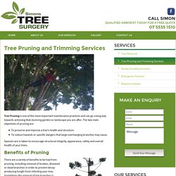 Tree Cutting & Trimming Services