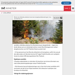 Brist på utländska arbetare hotar skogsbrandsbevakningen