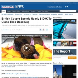 British Couple Clones Dead Dog For $100K