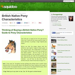 British Native Pony Characteristics