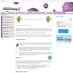 -BSI The Secret Life of Snot - British Society for Immunology