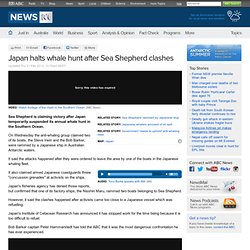 Japan halts whale hunt after Sea Shepherd clashes
