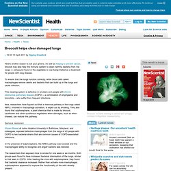 Broccoli helps clear damaged lungs - health - 13 April 2011
