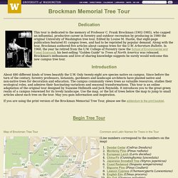 UW - Brockman Memorial Tree Tour